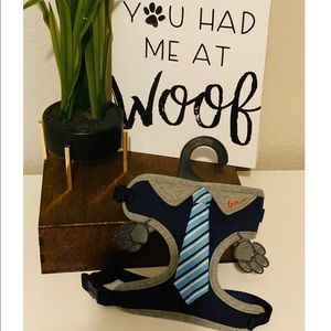 ED Ellen DeGeneres Neck Tie Comfort Dog
